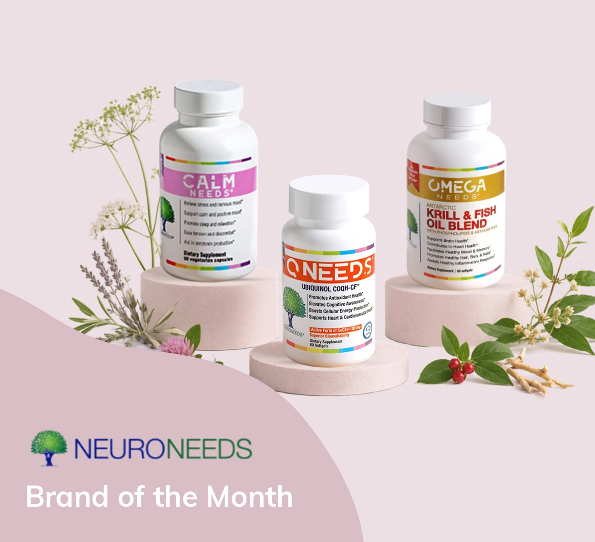 Brand of the Month - Neuroneeds