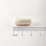 L-Glutamine 500mg 90 Caps - Lamberts - Image 3