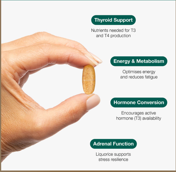 Thyro Complex 60 tablets - Metagenics - Image 2