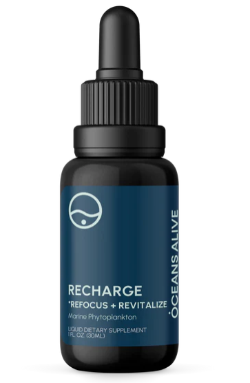 Oceans Alive RECHARGE - 30ml - Activation Products