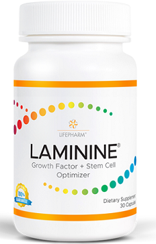 Laminine (30 Capsules) - LifePharm