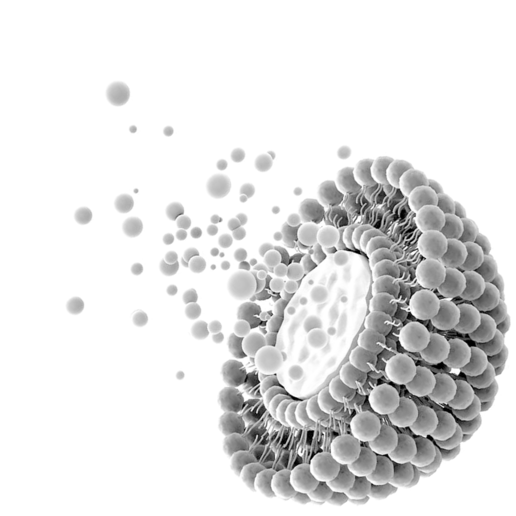 liposomal supplements yourhealthbasket uk europe