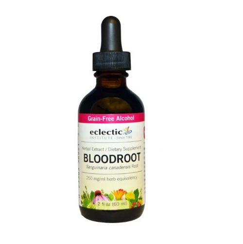 Bloodroot - 60ml - Eclectic Institute