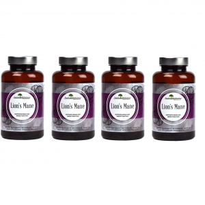 Lion's Mane (Hericium) - Saver Pack (Buy 3 get 1 Free) - Aloha Medicinals