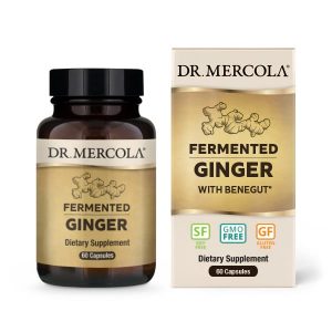 Fermented Ginger - 60 Caps - Dr Mercola