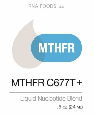 MTHFR C677T + .8 oz (24ml) - Holistic Health - SOI**