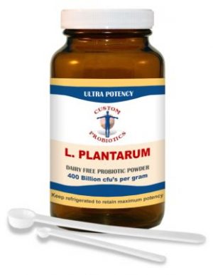 L. Plantarum Powder 50g - Custom Probiotics
