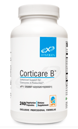 Corticare B 240 Capsules - Xymogen *SOI*