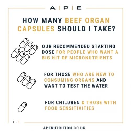 Grass-Fed Beef Organs - 180 Capsules - APE Nutrition - Image 2