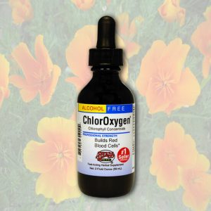 ChlorOxygen, Chlorophyll Concentrate (Alcohol Free) 59 ml - Herbs Etc.