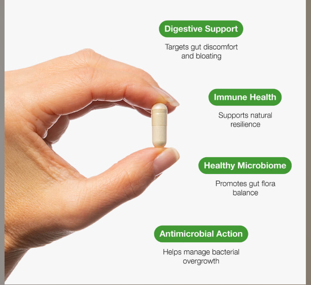 Candex Sibo - 45 Capsules - Metagenics - Image 3