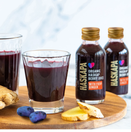 Organic Haskap Berry & Ginger Juice Shots (6 bottles) - Haskapa - Image 3