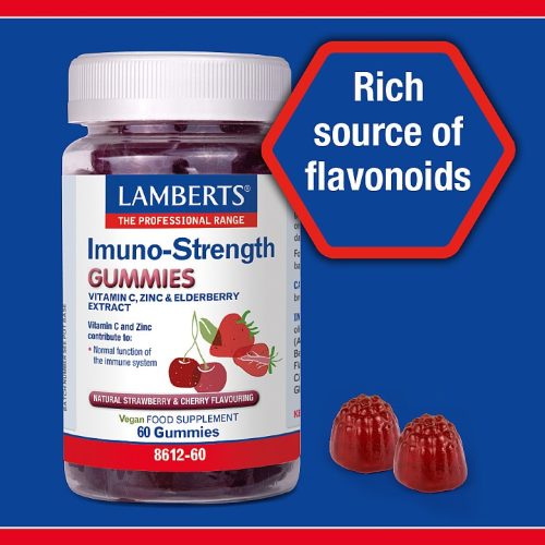 Multi-Guard for kids (60 Gummies) - Lamberts