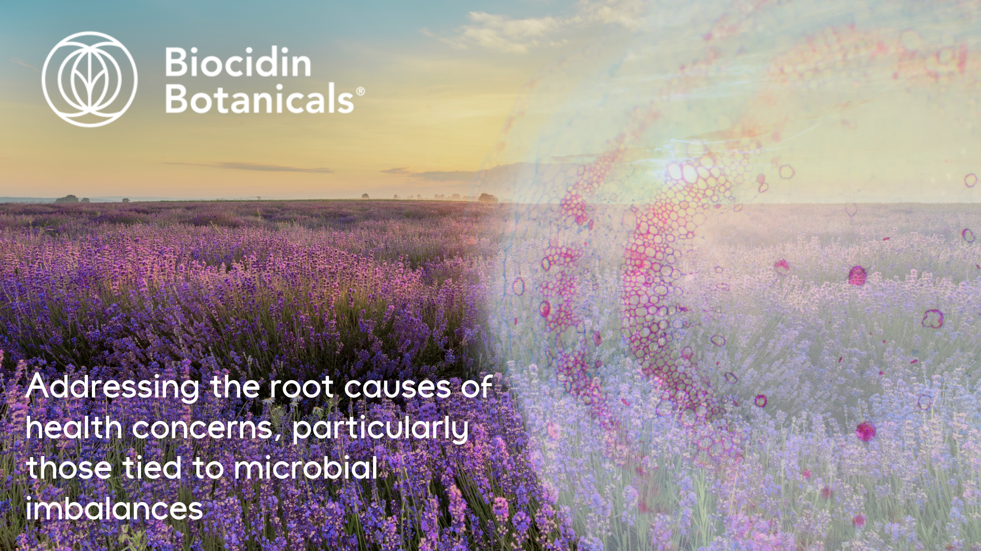Biocidin-botanicals-brand