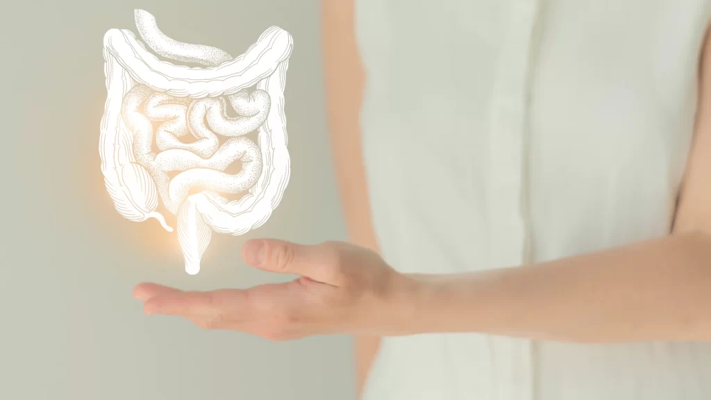 Gut Repair and Prevention: Rethinking Parasites, Candida and Dysbiosis